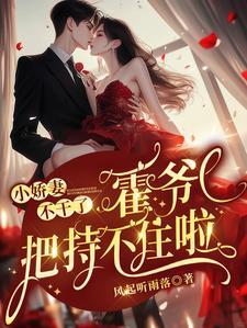 霍爷抢婚抱俩娃，追妻赛道夺第一