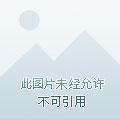 全民领主:我的亡灵骷髅亿亿万
